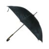 Picture of umbrella