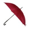 Picture of umbrella